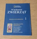 National Geographic w królestwie zwierząt ostatnia uczta krokodyli 1
