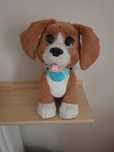 Charlie rozszczekany beagle
