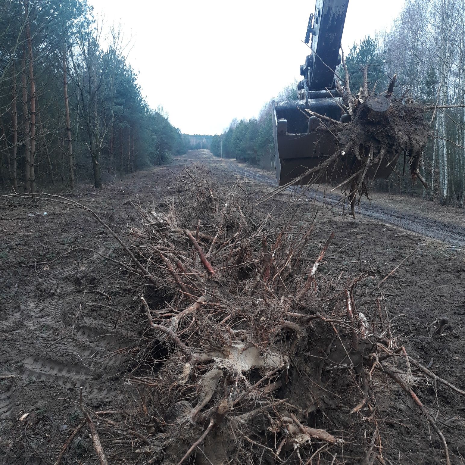 Usłgi wywrotką, koparką kołową. Wyrywanie korzeni. Ziemia, piasek zasy