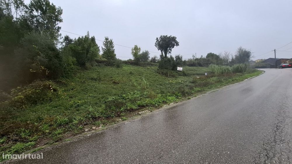 Magnifico Terreno Urbano Em Luso - Buçaco