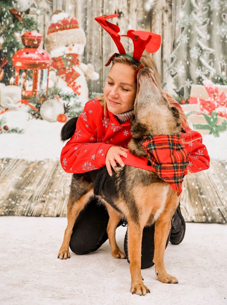Pestka - uratuj mnie! Adoptuj i zmień moje życie na lepsze!