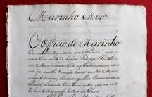 Meirinho Mor (MASCARENHAS) história e linhagem manuscrito séc. XVIII