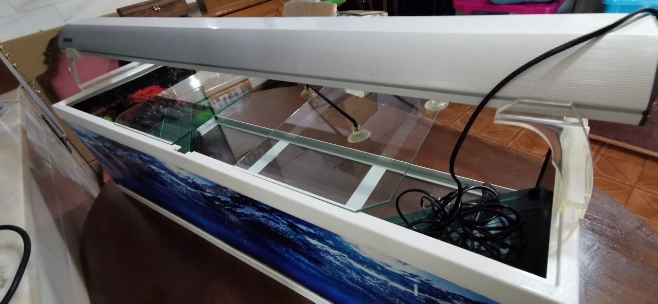 Aquário Aquatlantis