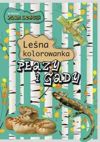 Leśna kolorowanka. płazy i gady - Katarzyna Kopiec-Sekieta, Eliza Gos