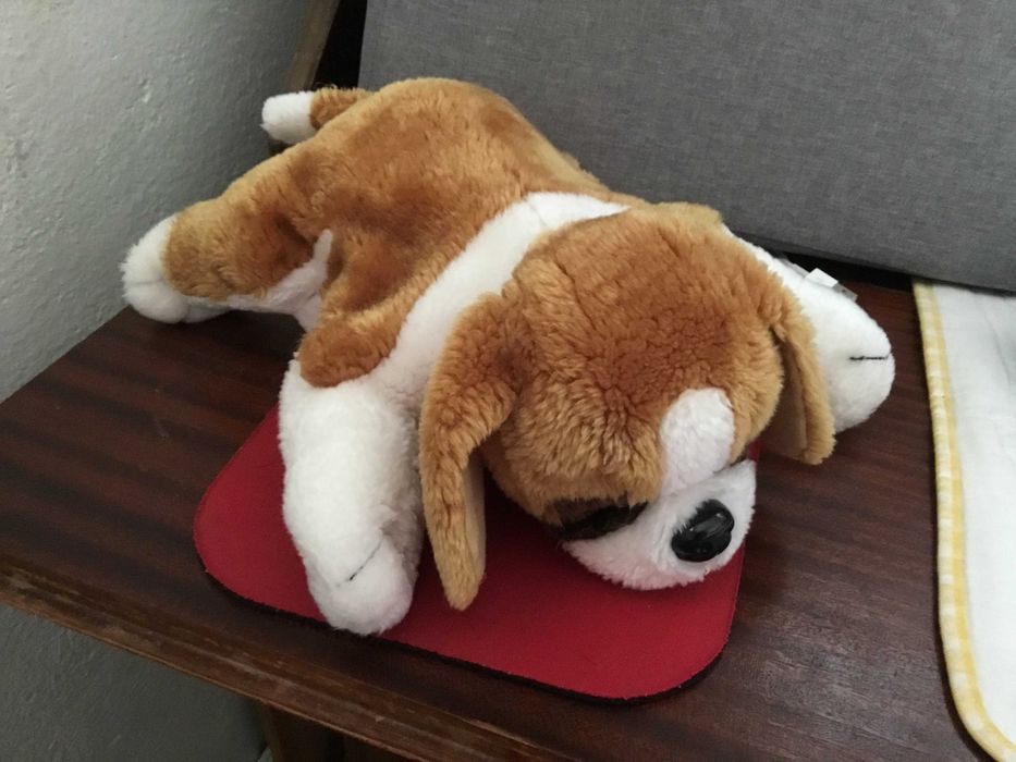 Cãozinho peluche com saquinho sementes