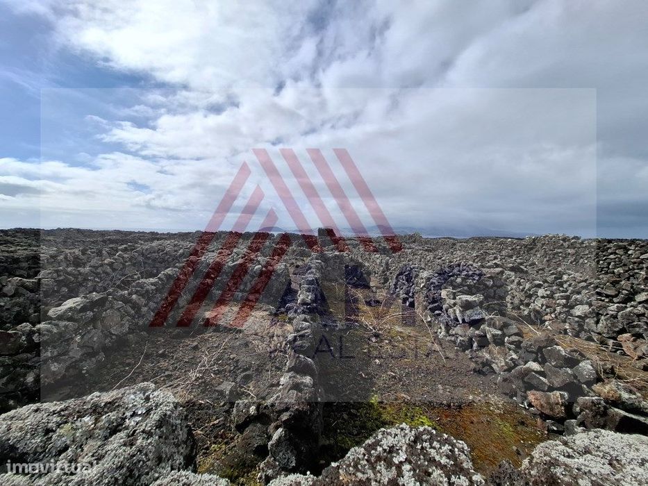 Terreno Rústico com Vinha no Lajido da Criação Velha