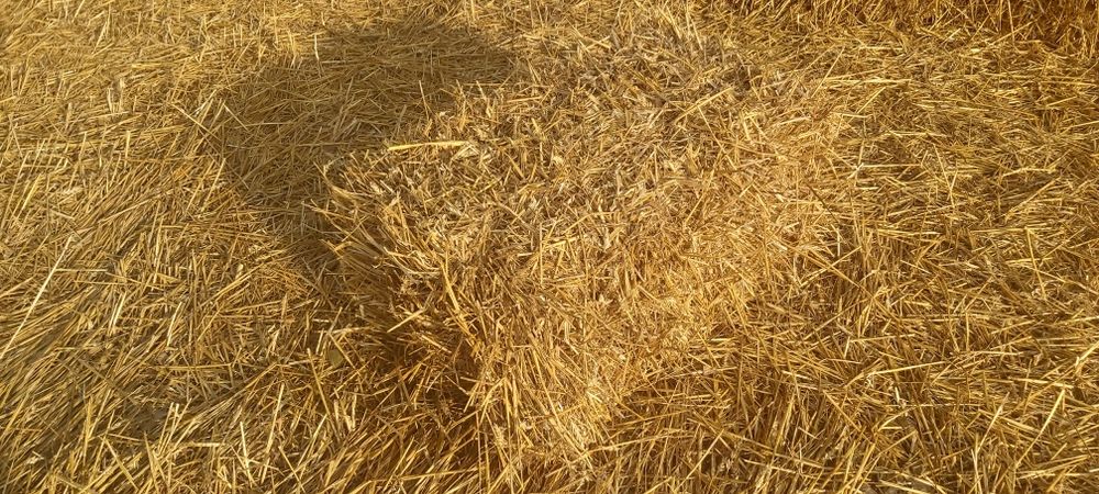 Słoma kostki Transport