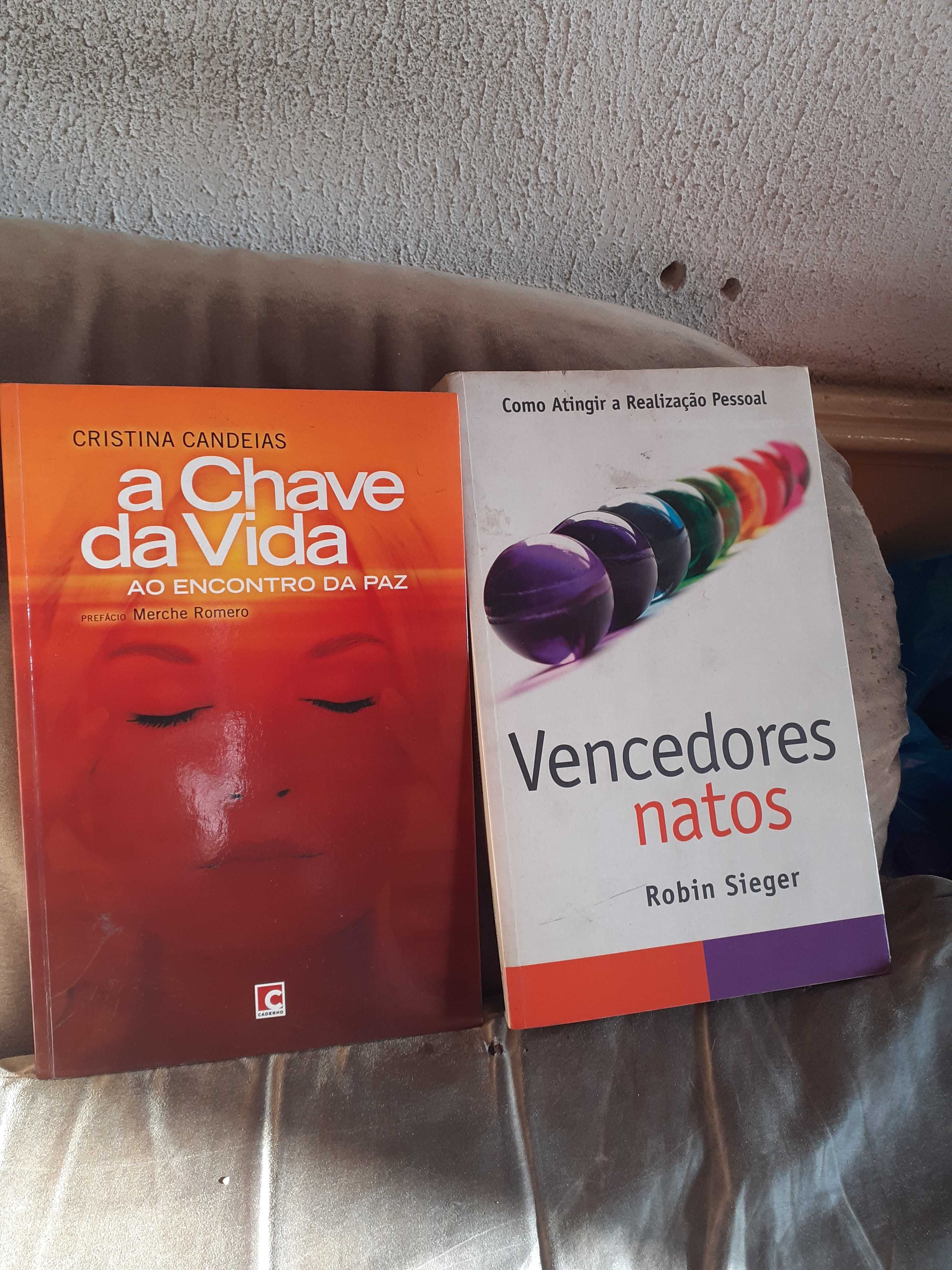 2 livros  de autoajuda