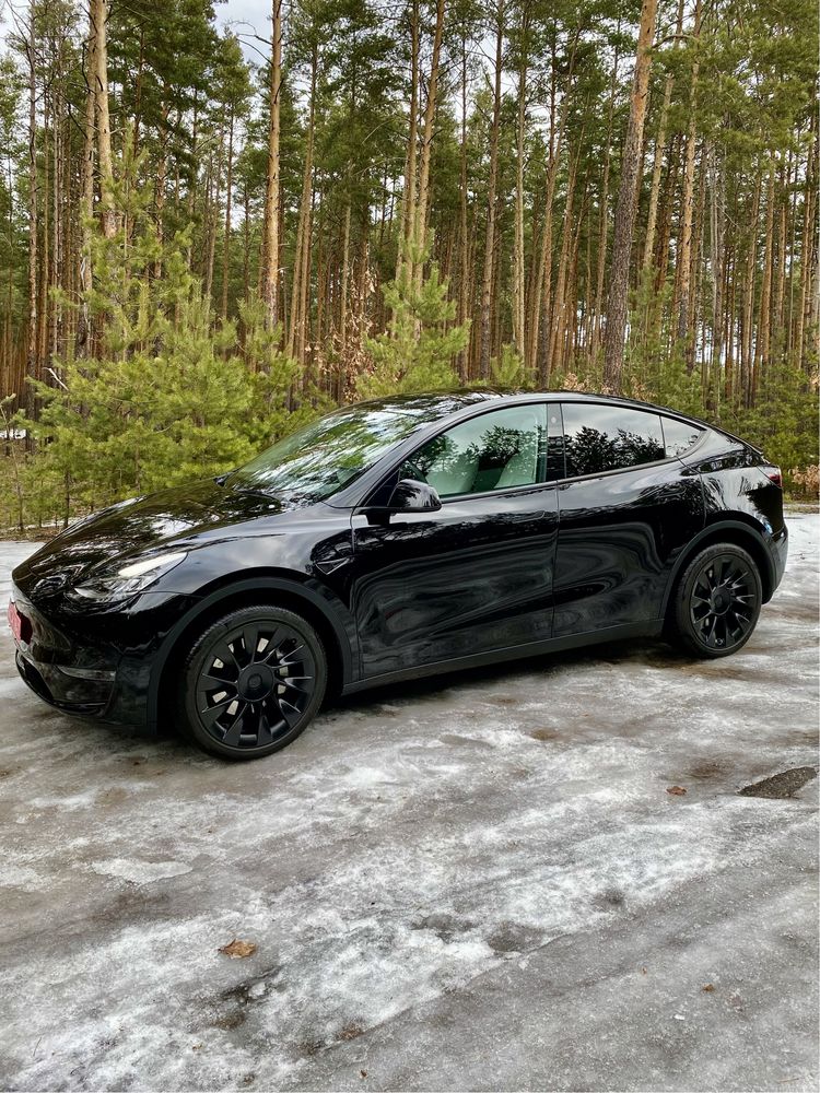 Tesla Model Y 2022 Long Range 82 kWt