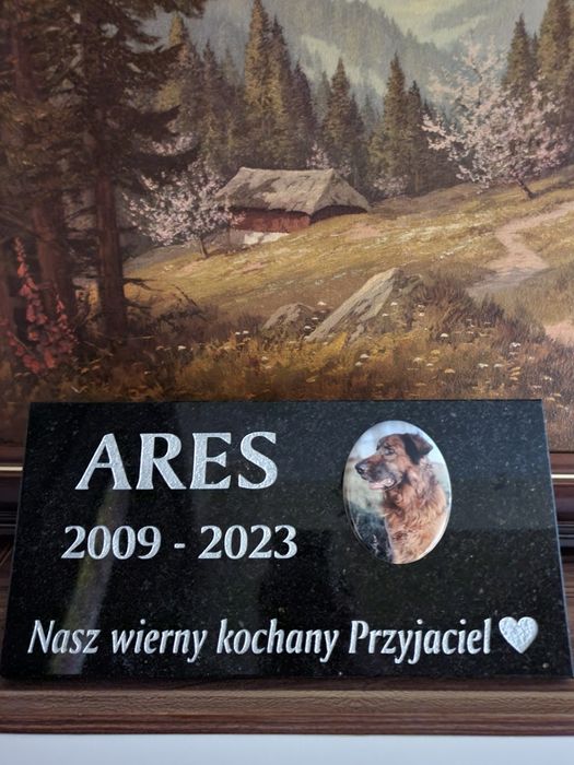 Nagrobek dla psa