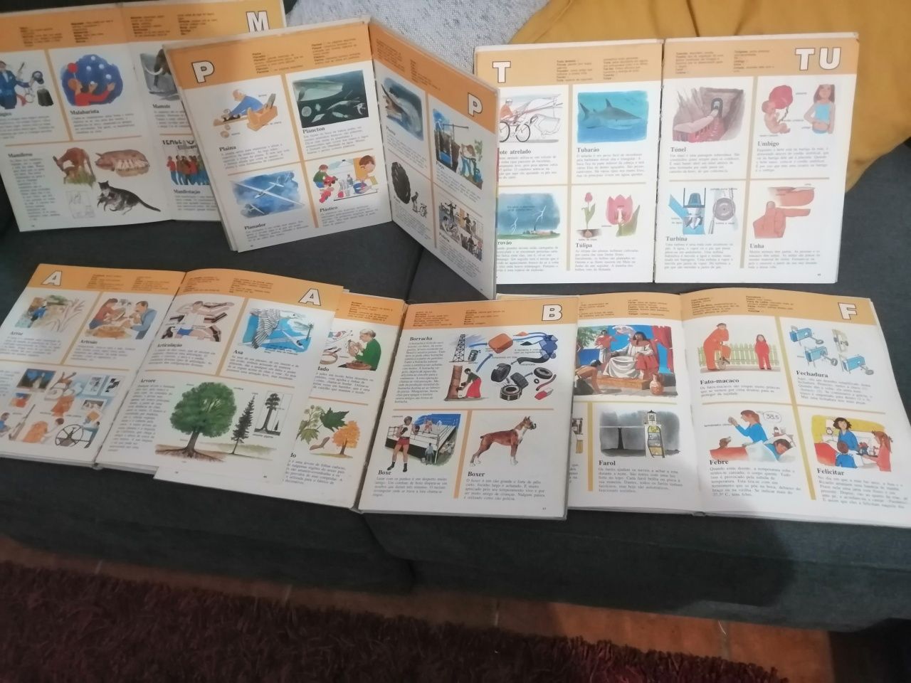 Enciclopédia infantil composto por sei livros