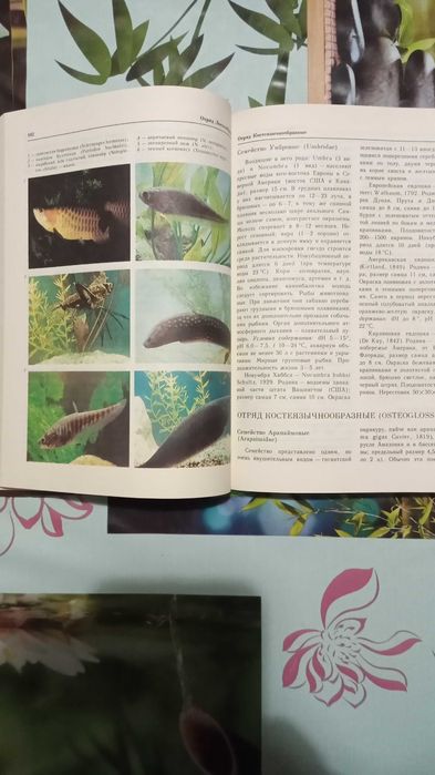 Продаю книгу.А.М.Кочетов  Декоративное рыбоводство