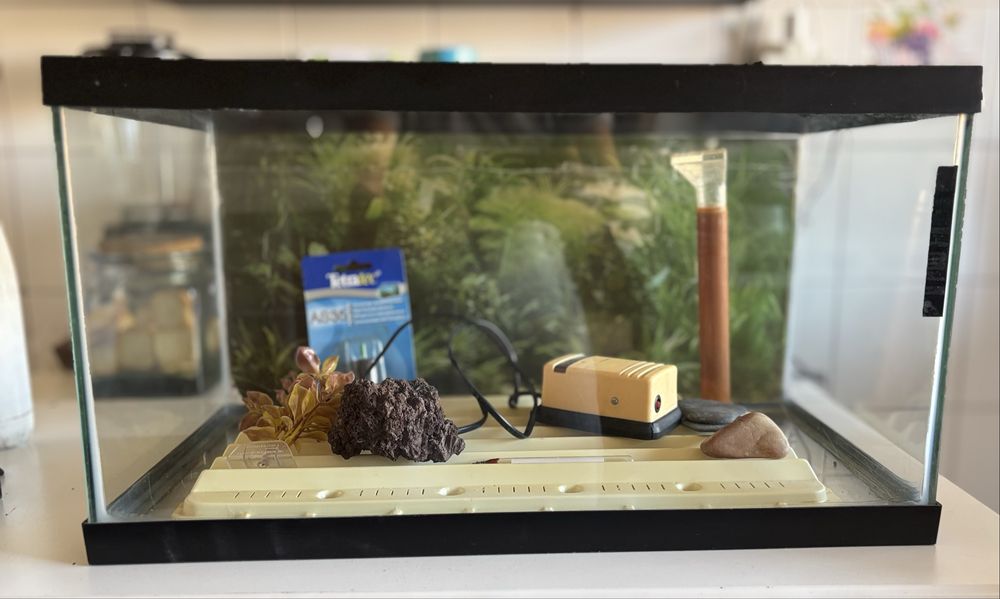 Aquário com acessórios