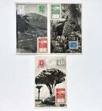 Stare pocztówki znaczki 1930r. Teneryfa Hiszpania zestaw 3szt.