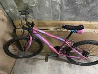 Bicicleta de criança TEAM