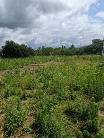 Продам участок ул. Прибрежная (пгт Обуховка)