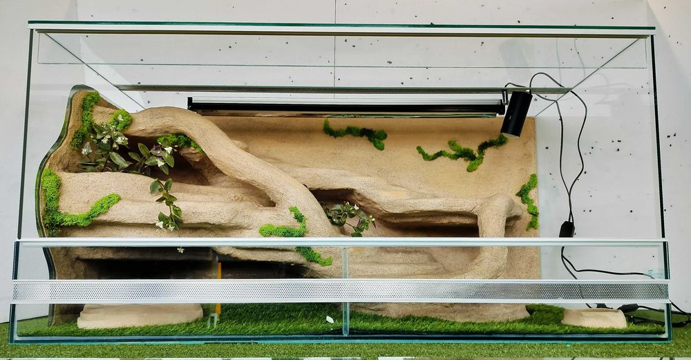 Terrarium dla agamy brodatej  z lampami i roślinami TW04P2A, AquaWaves