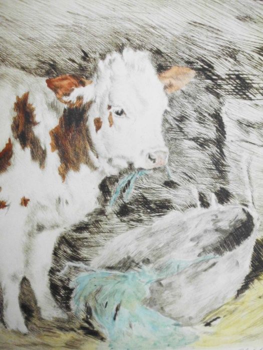 Bezerro-original gravura a água forte sobre papel artesanal-assinada