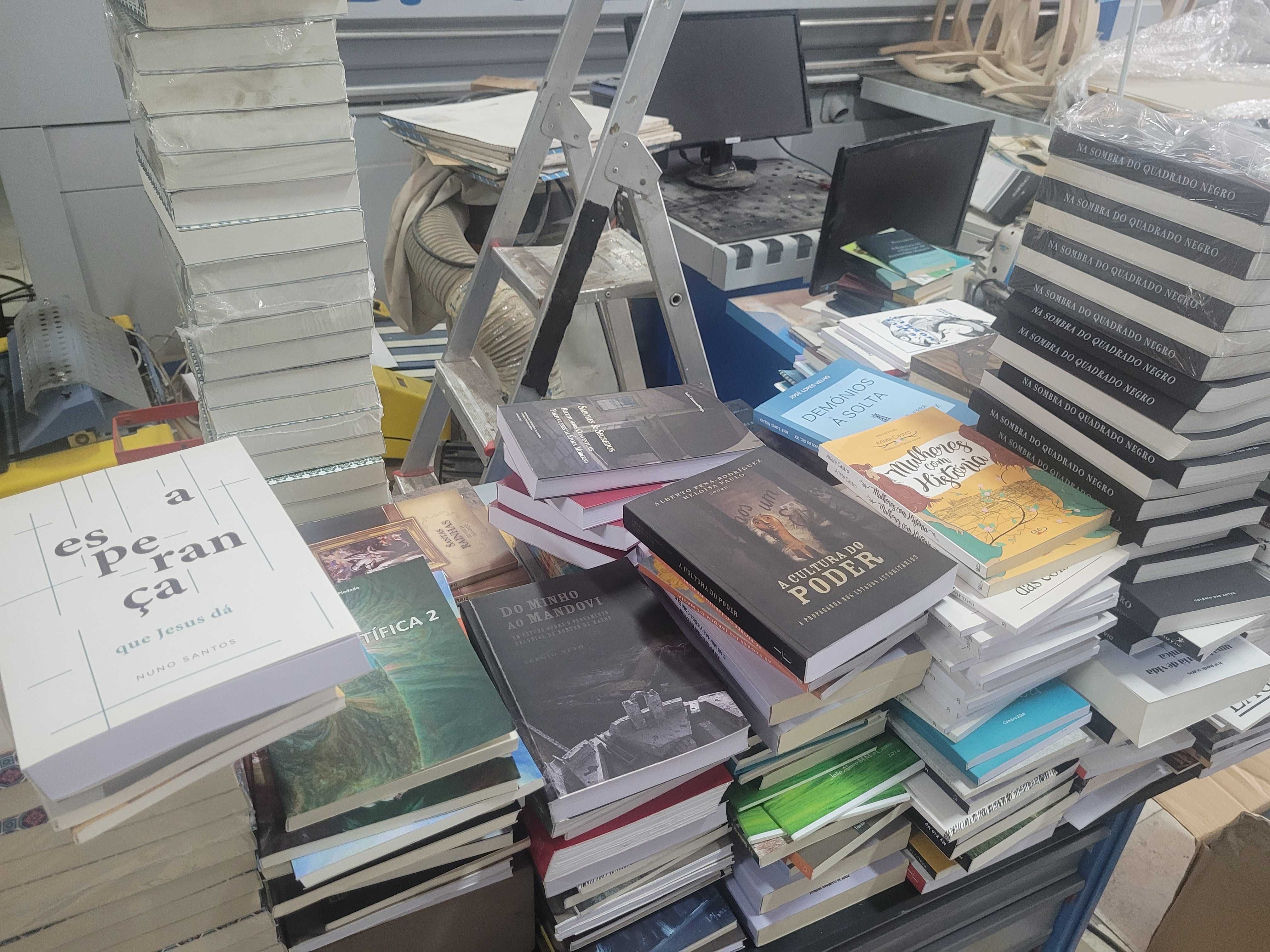 Lote de livros, romances, poesia, clássicos.