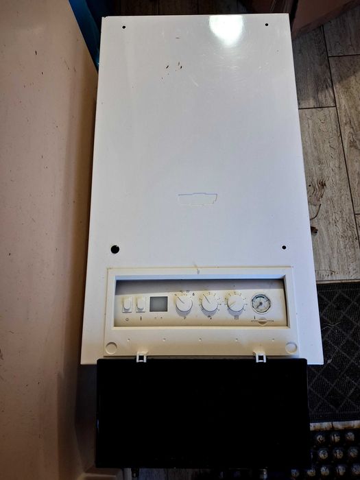 Piec gazowy jednofunkcyjny Wolf TGG-24