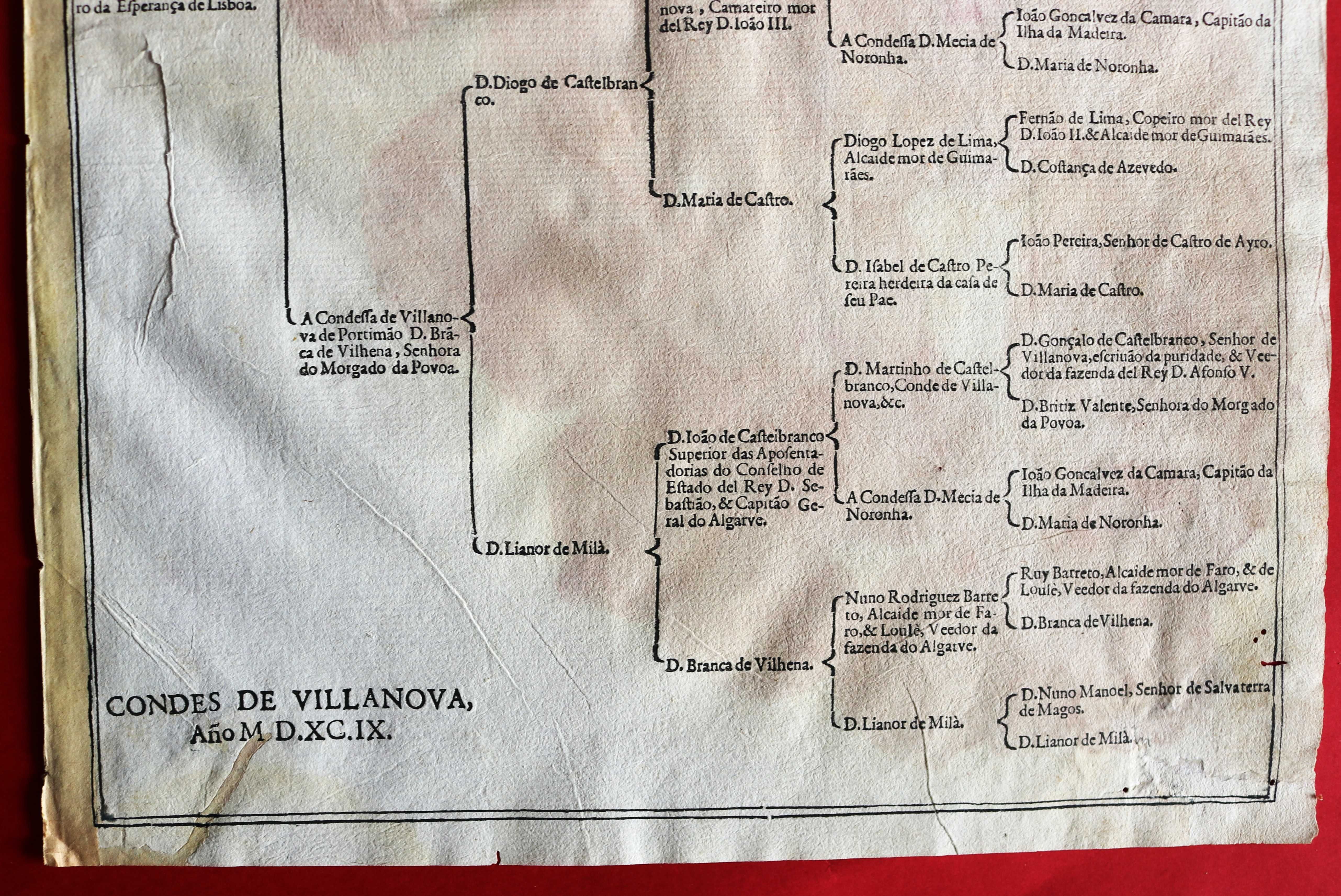 Condes de Vila Nova de Portimão, árvore de costados 1599 rara