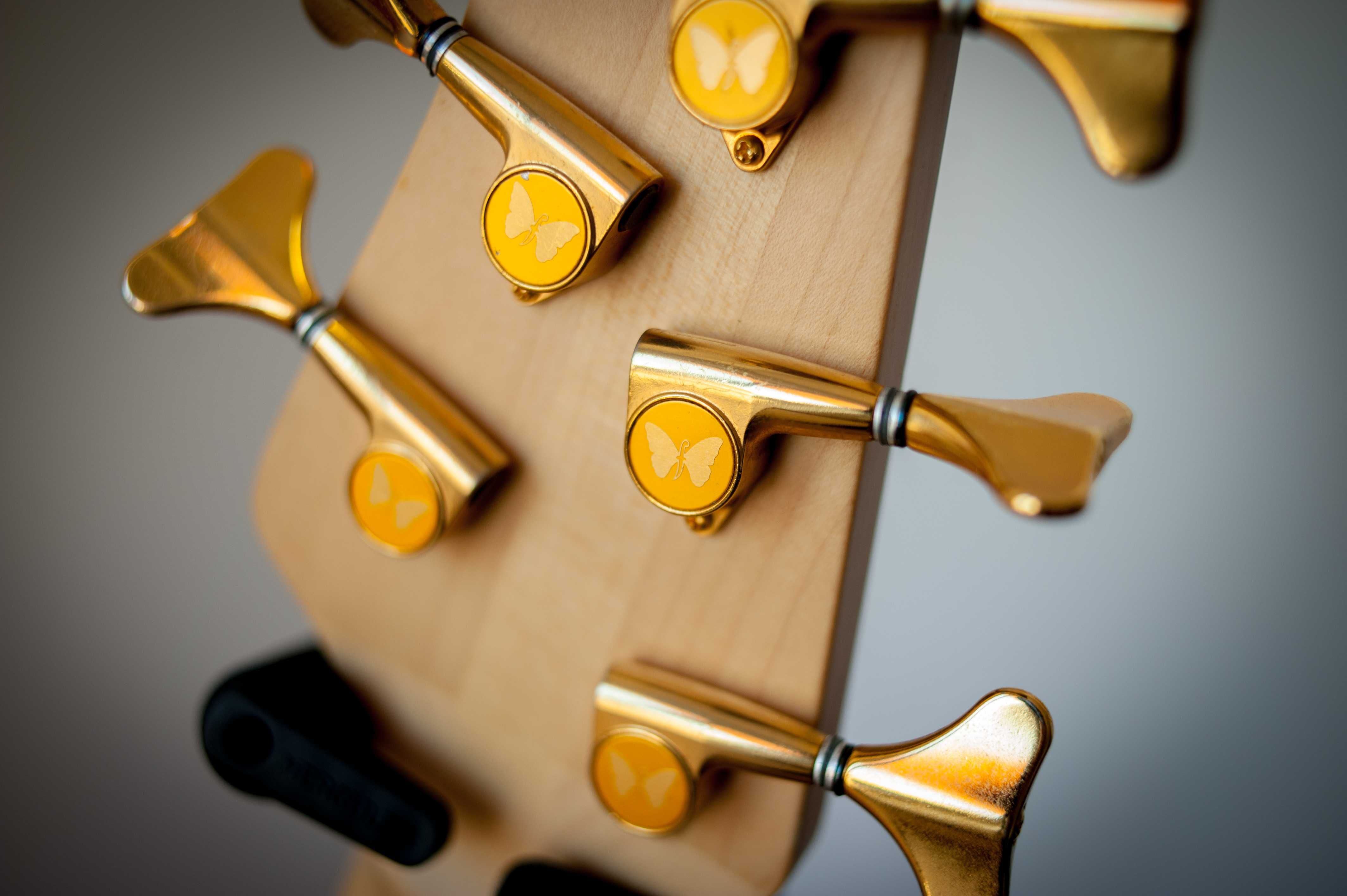 Fodera NYC 5 Jazz Bass, bas, gitara basowa