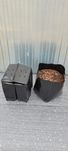 Doniczki 15L foliowe 100szt PRODUCENT