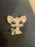Littlest pet shop chihuahua, rezerwacja