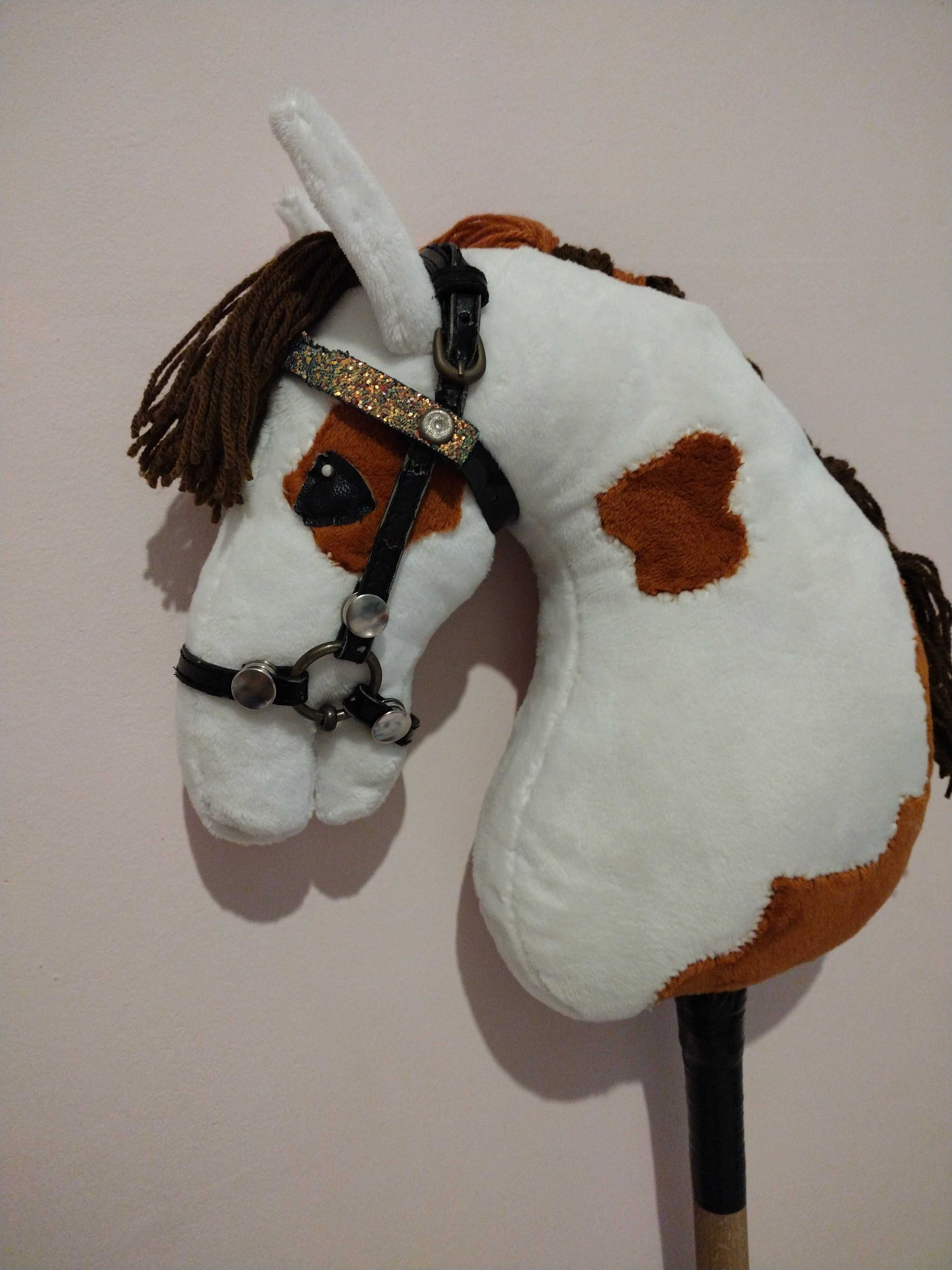 Hobby horse łaciaty