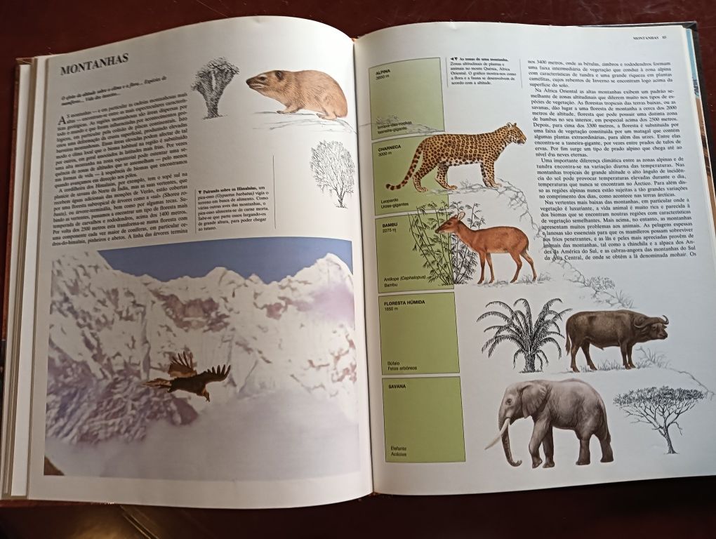 Ecologia animal Coleção Animais de todo o Mundo do Circulo de Leitores