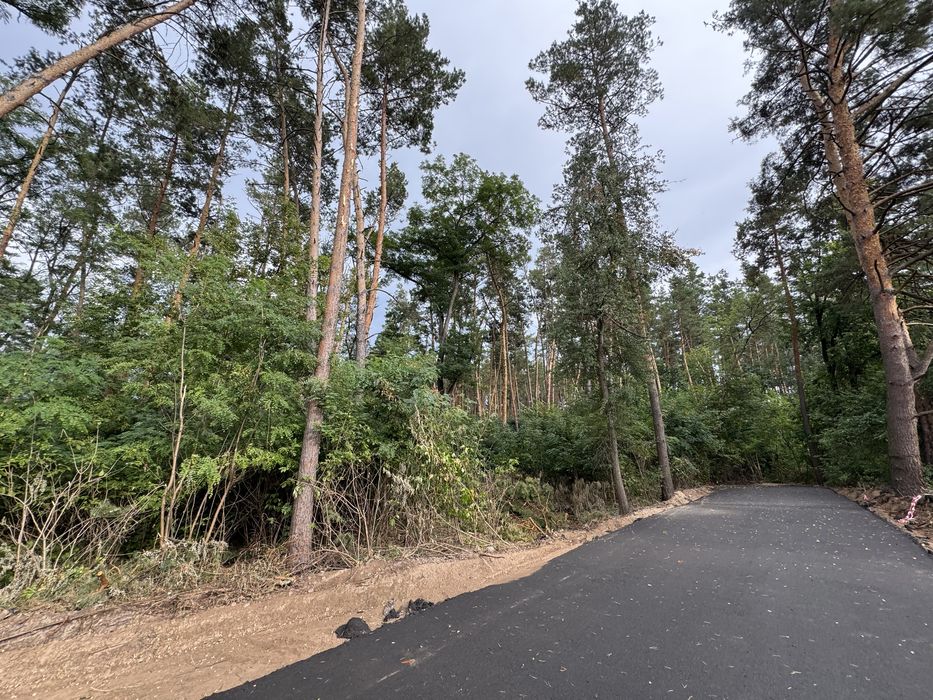 Продаж ділянок у сосновому лісі від 10-12-25 соток КМ Нова Ходосівка