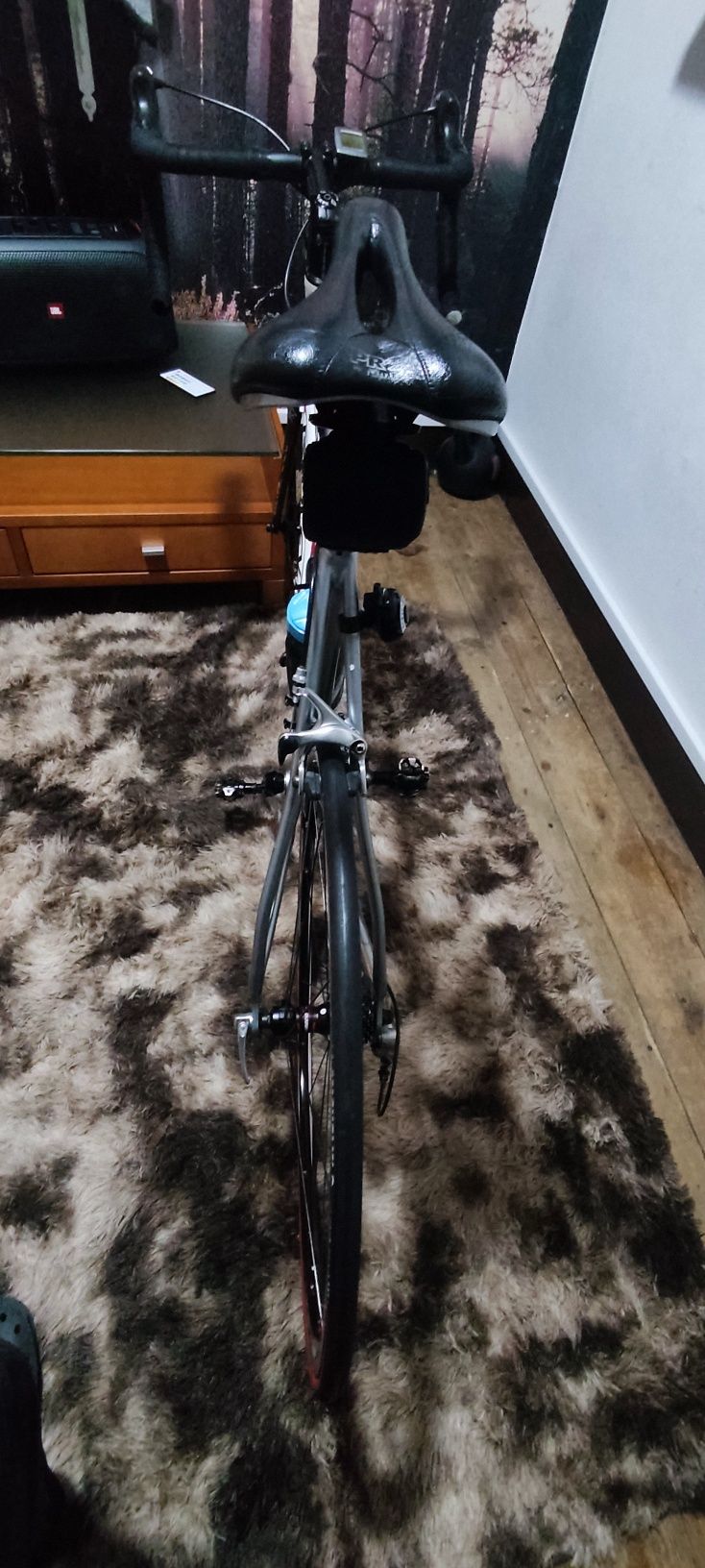 Bicicleta estrada Triton Ridley Ritchey pro