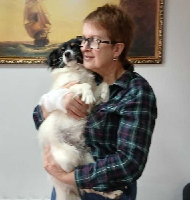 Маленький Бімка в добрі руки