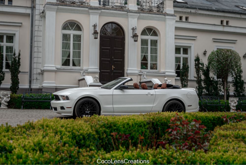 Wynajem do ślubu bialy Mustang Cabrio