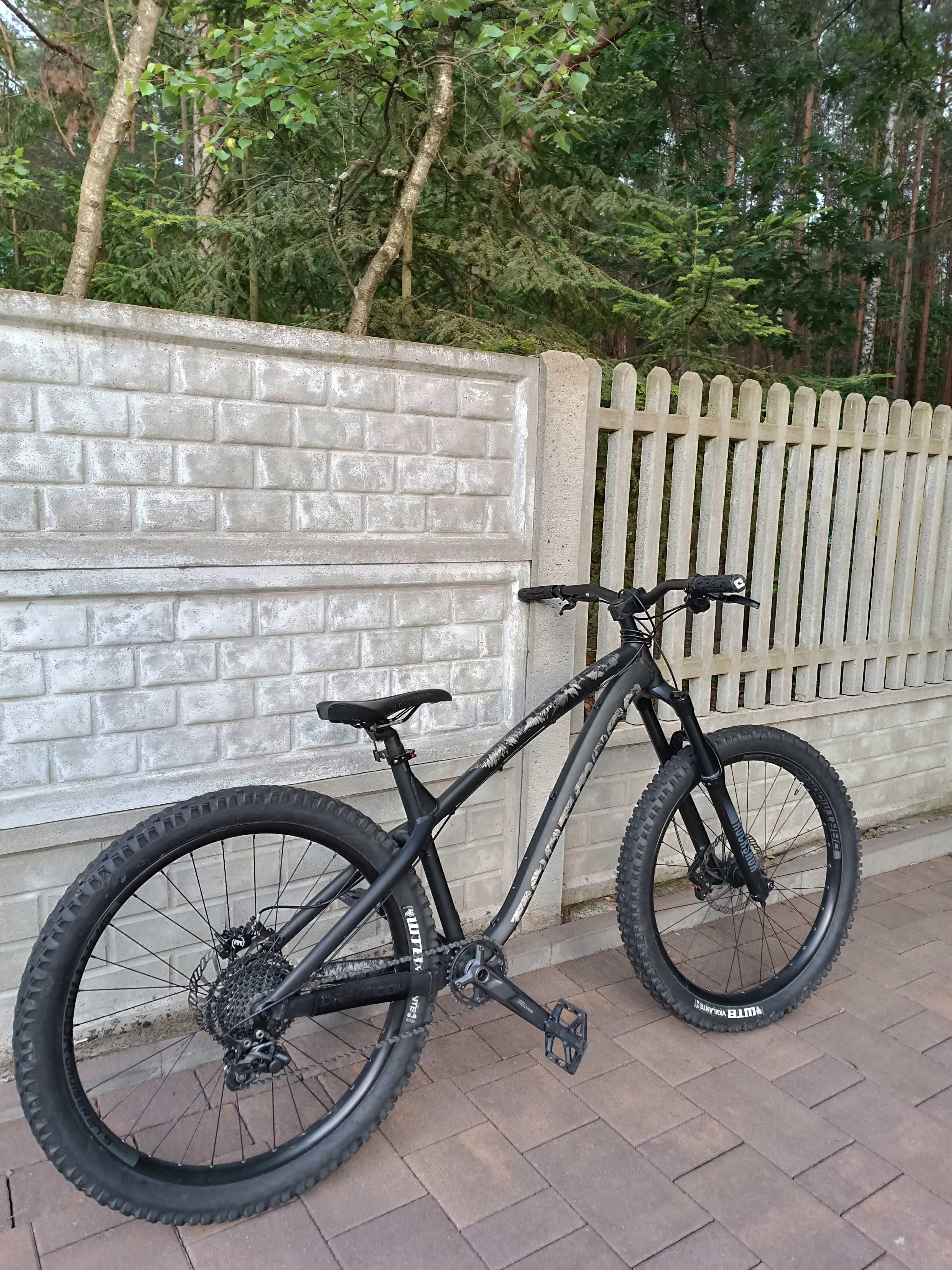 Dartmoor hornet 2021