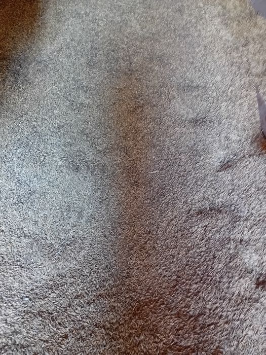 Sprzedam zboże paszowe