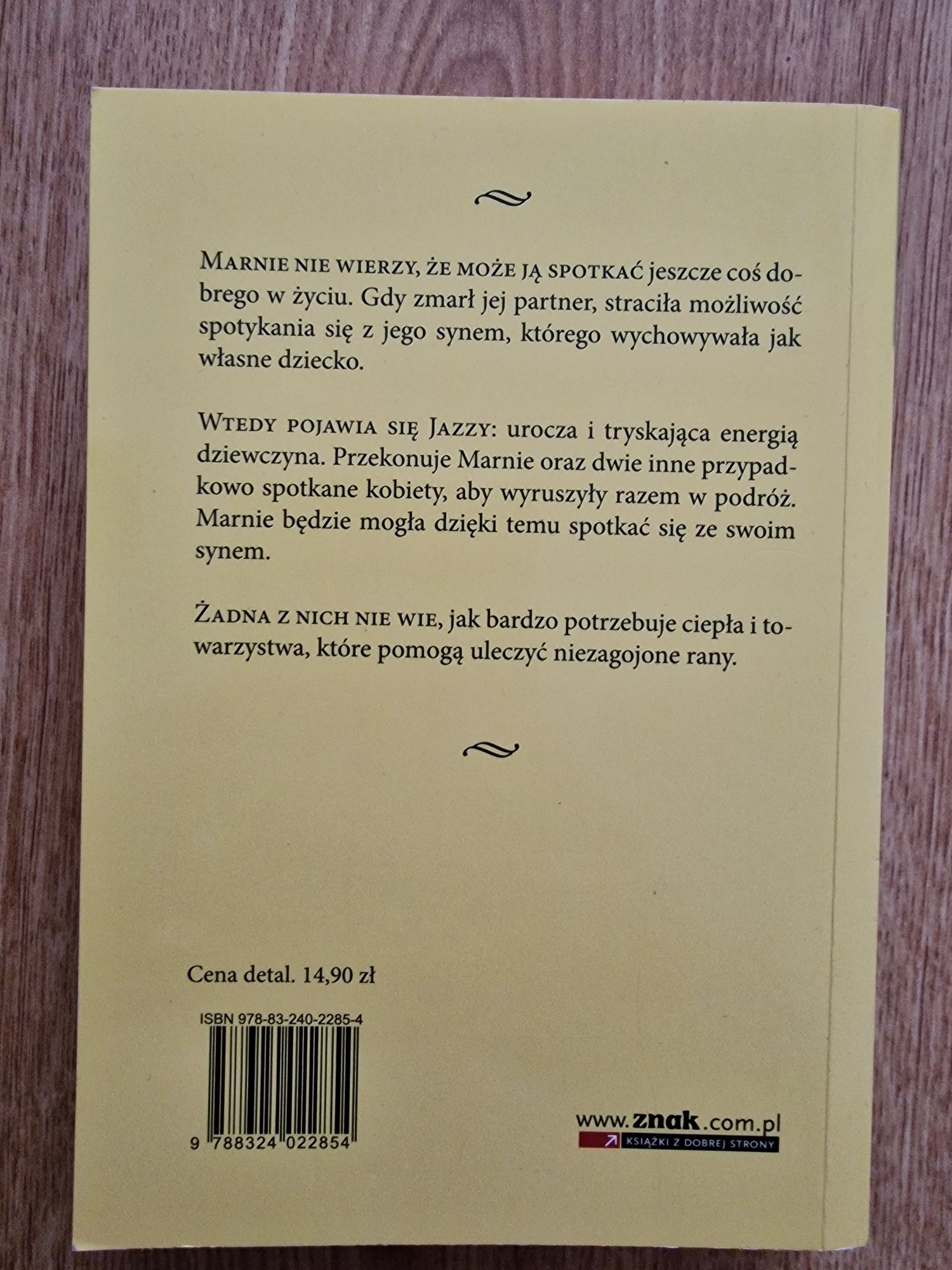 Książka obyczajowa droga do domu karen mcquestion powieść