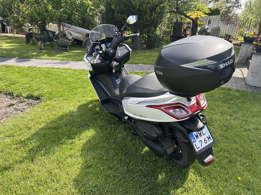 Kymco new downtown