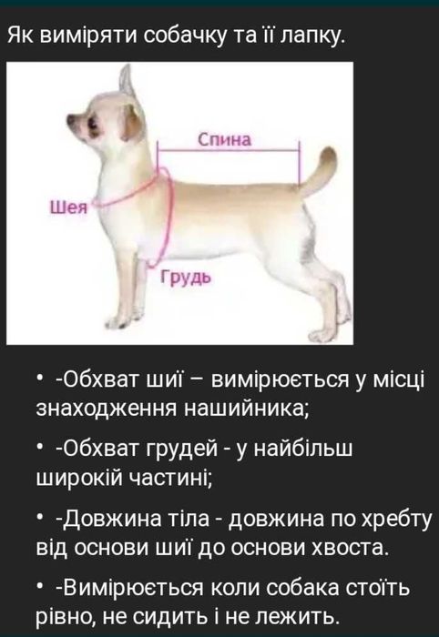 Жилетки для собак та котів