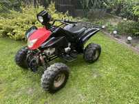 Quad ATV Bashan 250cc - chlodzony cieczą | Transport ~