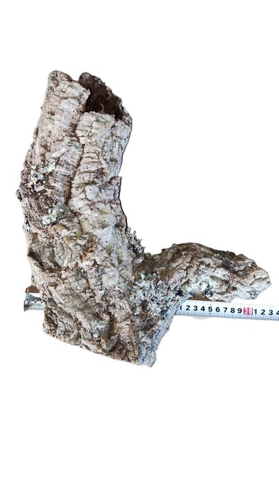 Кора пробкового дерева, декор для террариума, рептилий, птицеедов 40см