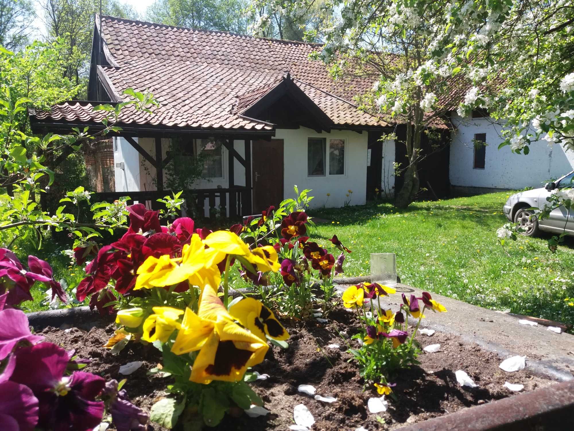 Domki nad jeziorem na Mazurach -agroturystyka cały rok