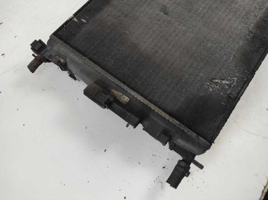 Renault Megane II 2 1.9 DCI Chłodnica Wody Wentylator