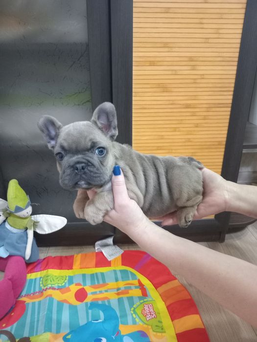 Французская очаровашка