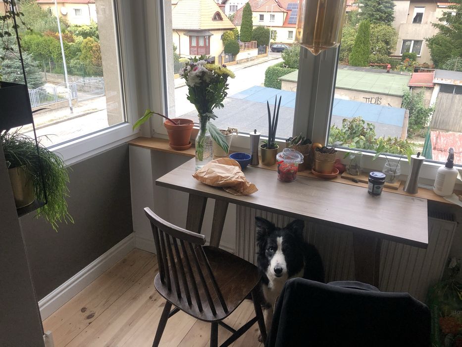 Wynajmę mieszkanie 2 pok na Pogodnie