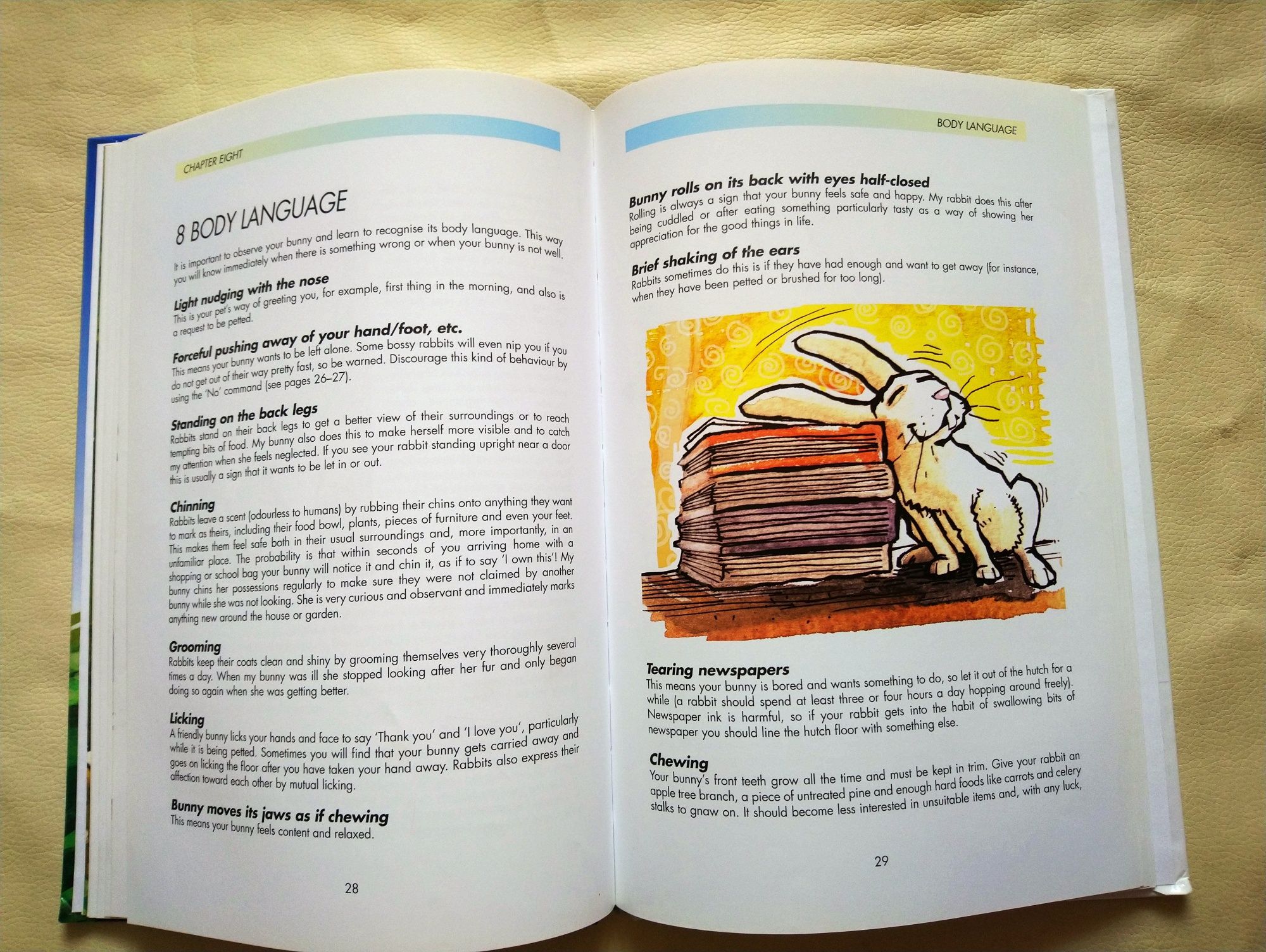 Книга The really useful Bunny Guide Carolina James