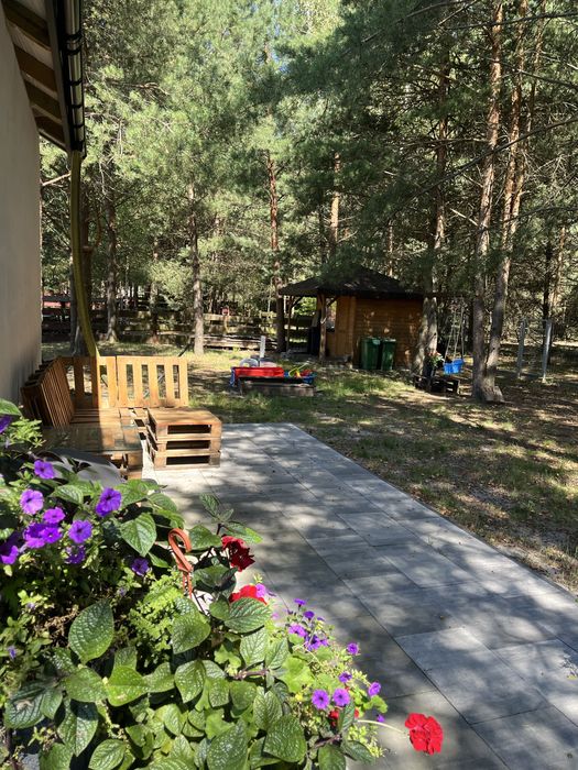Domek caloroczny na Roztoczu . Błonie .