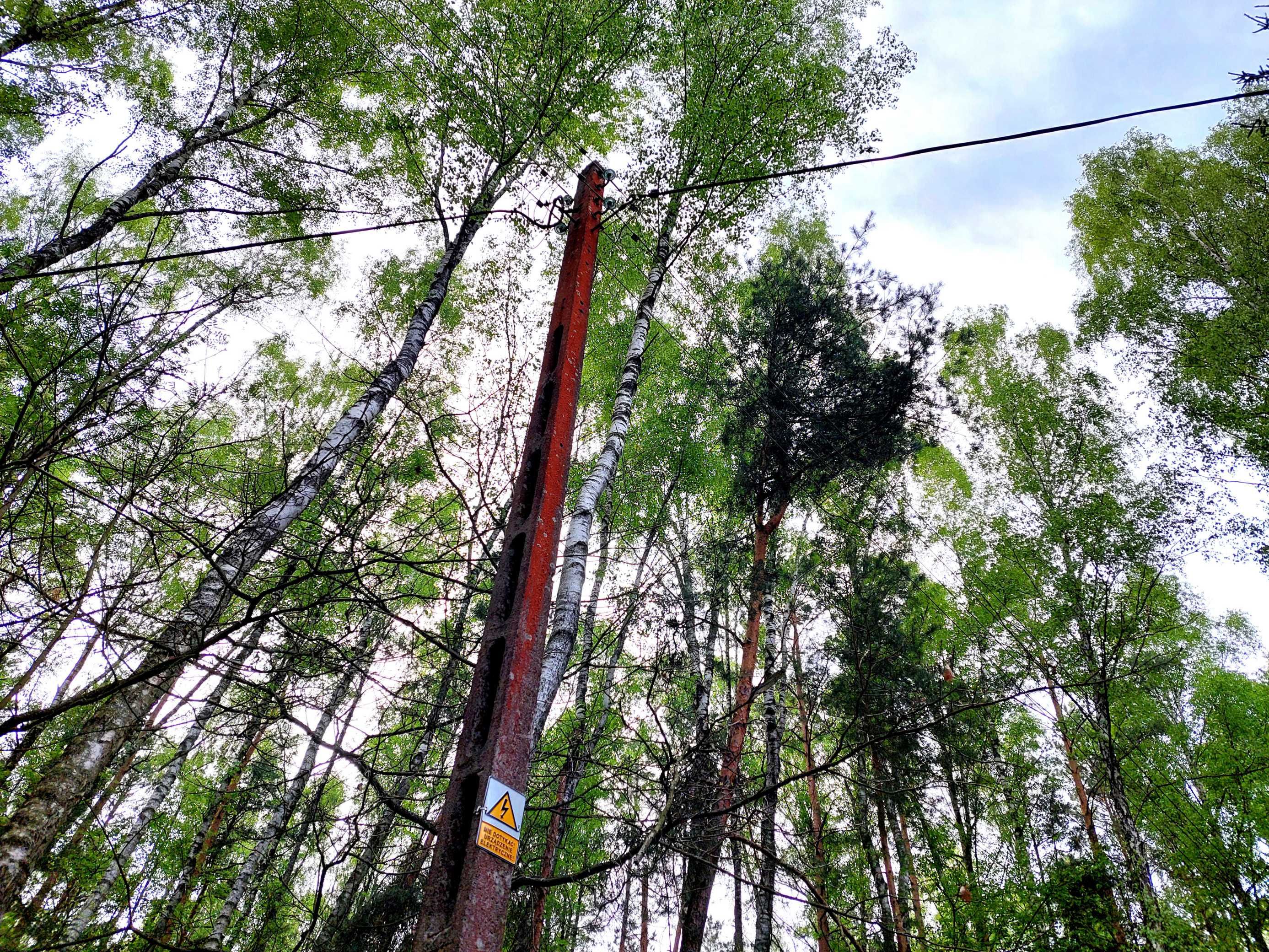 Działka jak z bajki – las, spokój, natura!
