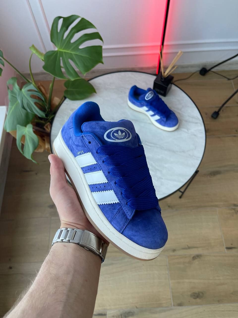 Жіночі кросівки Adidas Campus 00s