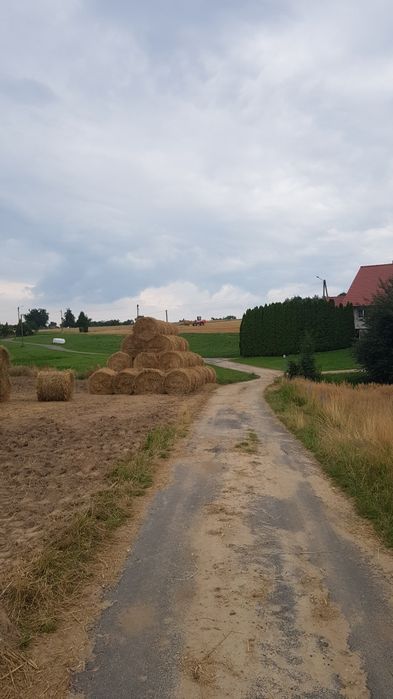 Sprzedam słomę z pszenżyta i owsa